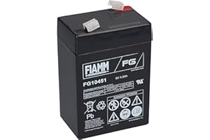 Horizont FGS Akku 6V 4,5Ah für Euro-Blitz compact Blei