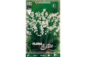 PRGA BULBI PRIMAVERILI MUGHETTO BIANCO CONVALLARIA CONFEZIONE DA 10 BULBI BULBS
