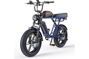 ENGWE M20/M1 Bici Elettrica Uomo, 150KM/75KM 90KM/170KM,Autonomia Sistema con 20"×4.0 Fat Tire,48V 26AH/13AH/15.6AH/28.6AH E-bike Off-roade Cambio 7 Velocità e Sospensione Completa