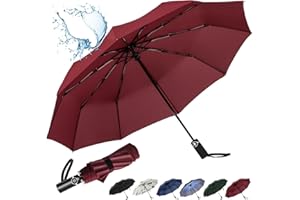 inaWarm Travel Umbrella, Strong Large Umbrellas Automatic Open Close, Folding Umbrella with 10 Ribs and Teflon Coating, Portable Umbrella Rain Resistant for Men Women