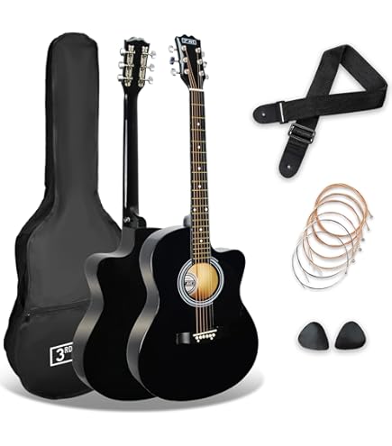 Gitane DG-310 Professional Gypsy Jazz Guitar - Modèle Lulo