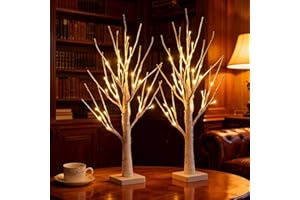 CECOMBINE 2 Pack White Twig Christmas Tree with Lights - 60cm Birch Light Twig Tree Indoor with 24 Warm White LED, Light Up Tree USB Bonsai Lights for Easter Party Birthday Wedding Festive Xmas Decorations