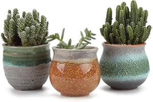 T4U 7CM Ceramic Summer Trio Succulent Plant Pot/Cactus Plant Pot Flower Pot/Container/Planter Green Package 1 Pack of 3