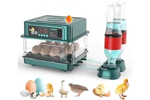 QAWNER Couveuse Oeuf Automatique, Incubateur Automatique 15-36 Oeufs, avec Système de Retournement Automatique et Contrôle de la Température, pour Éclosion d'Œufs de Poule Canard Caille (10 Oeuf) (10 Oeuf)