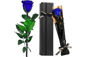 Touloube Rosa Eterna, Ideas Regalos Mujer para Mama Novia Abuela Hermana Amiga Esposa, Regalo Aniversario Cumpleaños Navidad Mujer, Te Amo Regalo, San Valentín, Azul