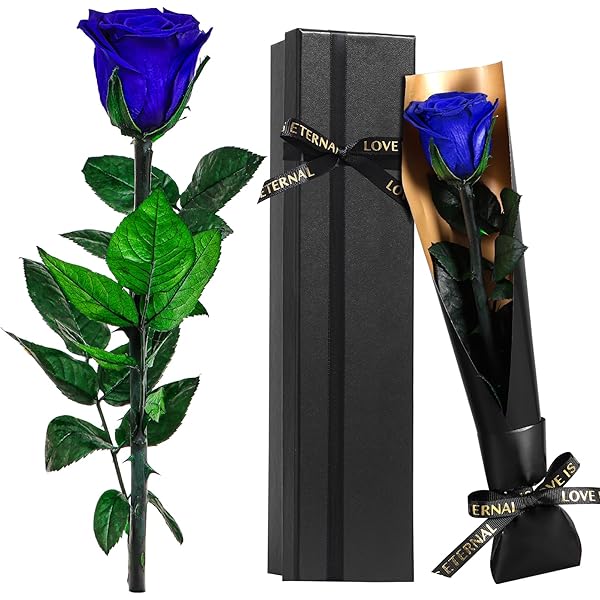 CSYY Eeuwige roos, cadeau voor Valentijnsdag, geschenkdoos met kunstbloemen, liefdesketting, engelenvleugels, cadeau voor haar, moeder, zus, vrouw, paars