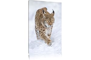 PIXXPRINT Lynx dans la neige Toile, XXL photos complètement encadrée avec de grandes images de coin, art impression sur la photo murale avec cadre, moins cher que la peinture ou une peinture à l'huile, pas une affiche ou bannière
