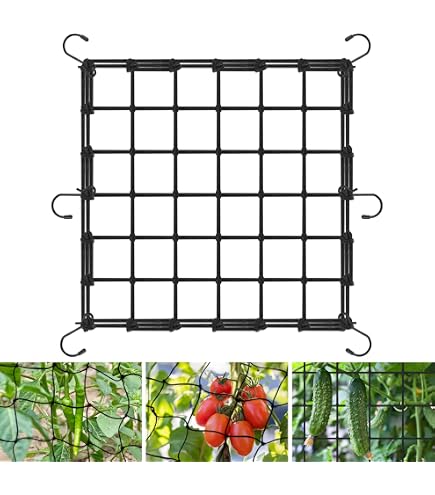 Filet Treillis Élastique 80x80cm Pour Plantes Grimpantes - Avec 4 Crochets - Jardin, Serre, Balcon