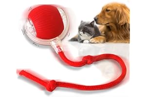TZQFROCE Interaktives Hundespielzeug Hunde Ball Spielzeug Automatisch Rollender Ball mit Schwanz für Katzen 3 Arbeitsmodi 360° Rolling Intelligentes Katzen-Spielzeug für Katzen Und Hunde