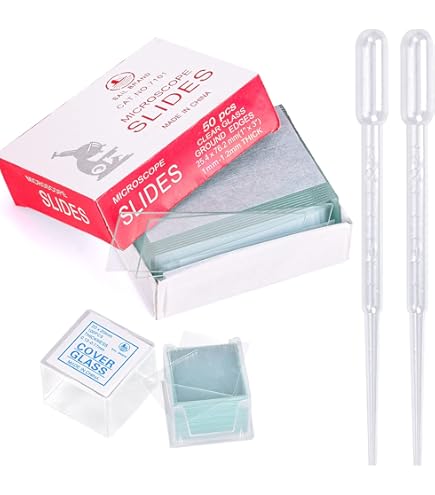 Porta Vetrini Microscopio In Legno - Per 50 Vetrini, Con Fibbia Metallica - Foto 10