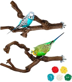 2 Stück Vogelglocken Spielzeug - Buntes Futtersuchspiel Für Wellensittiche & Vögel