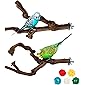 2 Stück Natur Sitzstangen Set für Vögel, Wildes Traubenholz Sitzstangen für Vogelkäfige, Vogelschleifklauen Klettern…