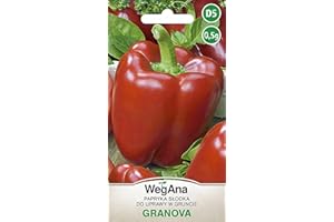 WegAna Pimentón Granova Semillas 0,5g Variedad Dulce Rojo Robusto Semillas de Hortalizas Semillas de Cultivo para Macetas de Invernadero Semillas de Pimiento de Patio