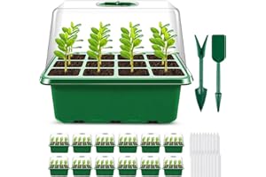 Qmioti 12 Stück Zimmergewächshaus Anzuchtkasten, 144 Zellen Mini Gewächshaus Klein Anzuchtset Anzuchtplatte mit Feuchtigkeitskuppel, Gewächshaus Keimungsset für Sämling Pflanze, Grün