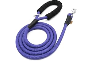 Aiminto Dog Leash, Braided Rope Traction – Walking Training Lead for Medium/Large Dogs ((1/2") - 6FT, Purple)