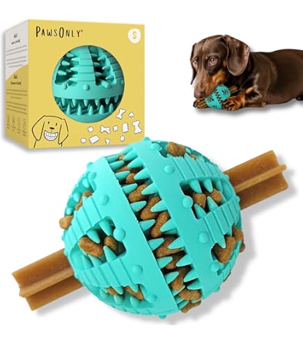 4er-Set Welpen-Beißspielzeug Mit Quietscher – Langlebige Stofftiere Mit TPR-Ring Für Kleine Hunde
