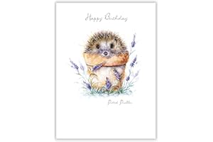 Noel Tatt Artistic Open 'Happy Birthday' Greeting Card - 'Potted Prickles' Hedgehog in Flower Pot Illustration - With A Silver Foil Finish - From The Pawfolio Range