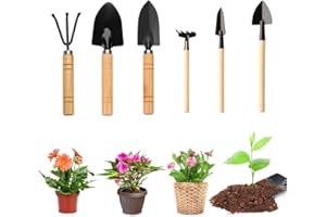 SMYJDMM Mini zestaw narzędzi ogrodowych, 6 sztuk, małe narzędzia ogrodowe, mini zestaw narzędzi ogrodowych, mini uchwyt drewniany, mini łopata, łopata, grabie, zestaw narzędzi ogrodowych do bonsai