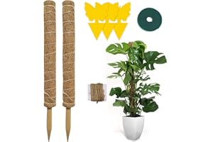 Hongyans 2 Pièces Tuteur Monstera 50cm Support Plantes Grimpantes Tuteur Coco pour Plante Maison Jardin avec Serre Câbles, Ficelle de Jute, Attrape Moucheron