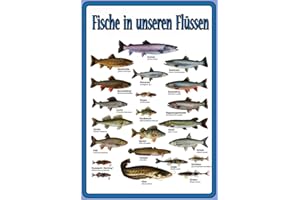 Schatzmix F0340 Fische in unsere Flüssen Übersicht Metallschild Wanddeko 20x30 tin Sign Blechschild, Mehrfarbig