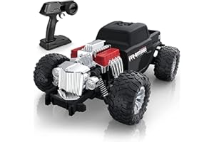 Baztoy Auto Radiocomandata da Corsa, Giochi Bambini Macchina Telecomandata Alta Velocità Professionale Fuoristrada Macchinine Giocattolo Compleanno Natale Regali per Adulti Ragazzi 8 9 10-14 Anni