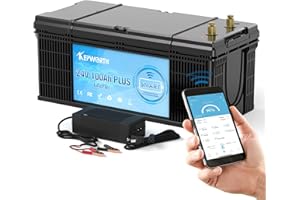 KEPWORTH Batterie Lithium 24V 100Ah, Rechargeable, LiFePO4 avec 100A Smart Bluetooth BMS et 4000-15000 Cycles Profonds, sans Entretien Parfait pour Camping-Car, Système Solaire, Bateaux, Hors-Réseau