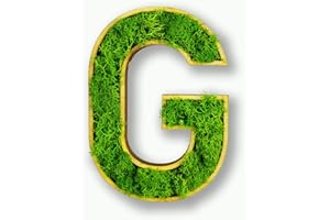 Acryltypo Moosly® Holzbuchstabe – G - mit Rahmen aus Holz, Moos Deko Buchstaben Zeichen Symbol Zahl - Holzbuchstabe mit echtem Islandmoos - Wandbilder Wohnzimmer Deko Wand Bilder Wohnzimmer Bilder