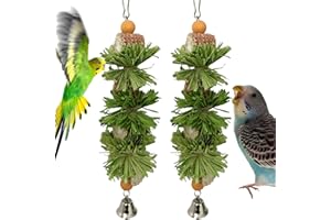 widenlise 2 Pcs Bird Toys, Bird Shredding Toys, Parrot Chewing Toys, Cockatiel Toys, Include Natural Corn Cob Bells, Hanging Foraging Shredder Toy for Parakeets Budgies, Conures, Finches, C