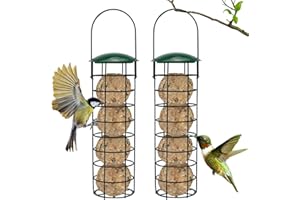 GKZB Mangiatoia per Uccelli 2 Pezzi Mangiatoia Uccelli Mangiatoia per Palline di Grasso Mangiatoia per Uccellini Mangiatoia per Uccelli Selvatici per Recinzioni Giardino Fringuelli