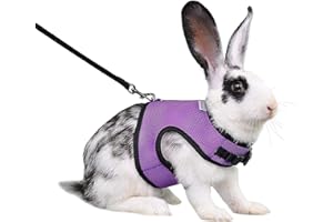Niteangel Adjustable Soft Harness with Elastic Leash for Rabbits (M, Purple)