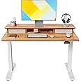 FEZIBO Height Adjustable Electric Standing Desk with Double Drawer, 100 * 60cm Stand Up Table with Storage Shelf, Sit Stand Desk with Splice Board, Nature