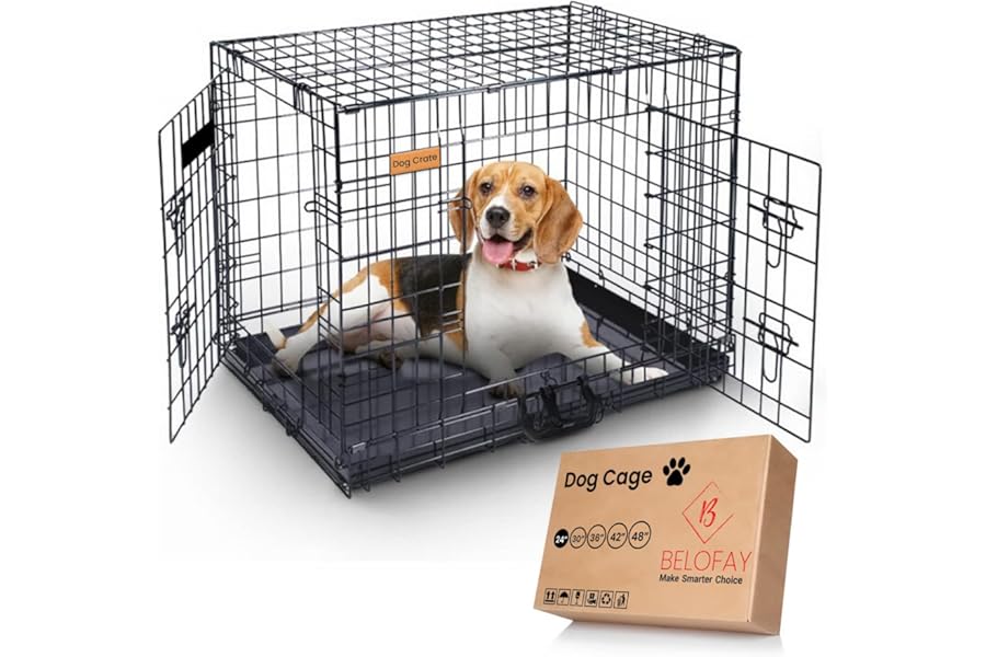 BELOFAY Dog Crate | Dog Cage 24-Inch Heavy Duty | Collapsible Metal Frame with Dual Access Doors, Chew-Resistant Removable Base Tray, Sliding Lock & Carry Handle – Ideal for Puppy Training & Travel