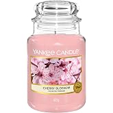 Bougie Yankee Candle Parfum Cannelle - Jarre 623g, 150h De Combustion, Mèche Coton Naturel