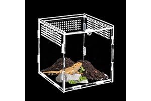 BUOSHUO Terrario acrílico (15 cm x 15 cm x 15 cm), Mini terrario, terrario, Caracoles, Reptiles, Caja de alimentación Adecuada para arañas, lagartos, Caracoles, escarabajos