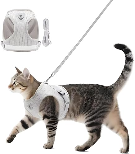 Arnés Para Gato Con Correa - Color Amarillo, Ajustable (32-41cm), Malla Transpirable, Incluye Mosquetón Y Hebilla