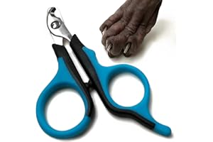 Kotomoda Coupe-griffes professionnel pour chat, fabriqué en Allemagne