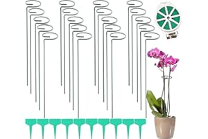 LOSTWRY Lot de 20 supports pour plantes de 40 cm - En acier - Avec anneau de fleurs - Pour fleurs, lys, pivoines, roses, tomates