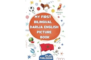 My first bilingual Darija English picture book: 500 illustrated words in the Moroccan Arabic dialect - A visual dictionary with words on everyday ... Moroccan Darija for kids and beginner adults