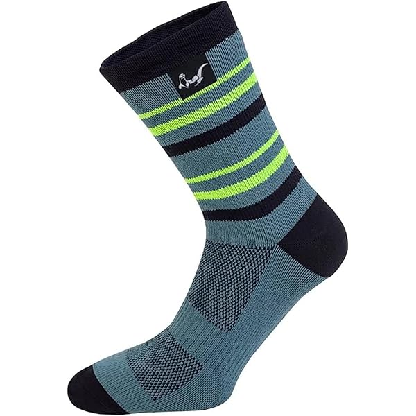 Sealskinz Waterproof Warm Weather Hydrostop Ankle Sokken Blauw/Grijs/Rood