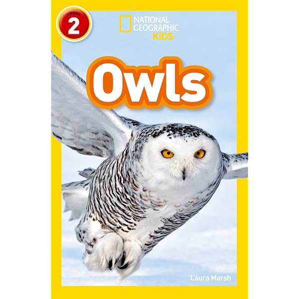 All Things Owls For Kids: Filled With Plenty of Facts, Photos, and