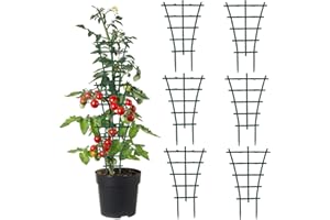 JRILUO 6 Stück Rankhilfe Zimmerpflanzen Korrosionsbeständige Pflanzenstütze, Langfristig Wiederverwendbare die Zusätzlichen Wachstumsraum für Pflanzen Bieten Geeignet für Blumentöpfe Andere Kletterpflanzen