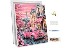 NEWENMO Paisaje Urban Pintar por Numeros Adultos con Marco,Pintura por Numeros Set Coche Rosa y Flores,Kit de Pintura al Óleo para Adultos,DIY Paint by Numbers Kits,Decoración Hogar 30x40cm