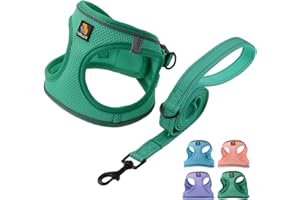 BELLA & PAL Zestaw uprzęży i smyczy, szelki dla małych psów, miękka siateczka, oddychająca uprząż z paskiem odblaskowym, szelki dla szczeniaka, bez ciągnięcia, dla małych psów, zielone, XS