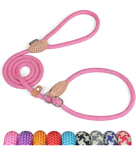 EZYDOG Luca Lead | 1.7 m, Climbing Rope, All in One, One size fits all, Halti Function, Easy to Put on, No Harness or Collar Needed (Purple