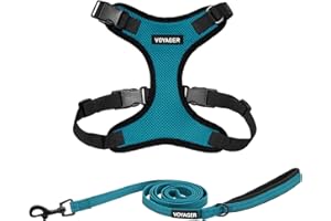 BEST PET SUPPLIES Voyager Step-in Lock - Juego de arnés para Perro con Correa Reflectante para Perro, con Mango de Neopreno, 1.5 m, para Gatos y Cachorros de Raza pequeña, Mediana y Grande, Color Turquesa/Borde Negro,