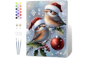 Fumupe Pintar por Numeros Navidad Adultos con Marco, Colorear Cuadros para Números Pájaros, DIY Invierno Pintura Acrilica Manualidades Adulto Navidad Decoracion Hogar Pared 20x30cm