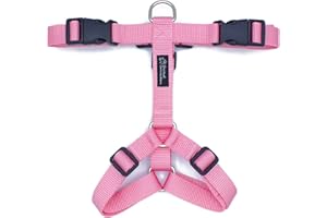 Animal Connection Pettorina ad H per Cani. 5 Punti di Regolazione. Disponibile in 5 Colori. Leggera e Resistente. (M, Rosa)