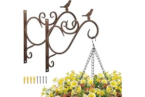 Lewondr Support Plante Mural Balcon, Lot de 2 Rétro Européen Forme d'Oiseau, Crochet de Suspension en Fer Forgé, pour lanternes à paniers avec Vis, Décor Extérieur pour Balcon de Jardin