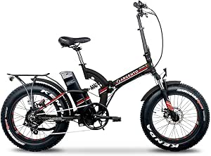 Argento Bicicletta elettrica Bimax