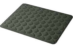 Allisandro Wodoodporny koc dla zwierząt domowych, dwustronny pokrowiec na sofę dla zwierząt domowych, duży koc dla zwierząt domowych, dla psów i kotów, narzuta na sofę, 60 x 40 cm, szaro-zielony